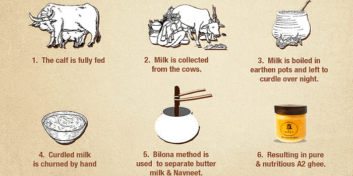 Ayurvedic Significance of Ghee