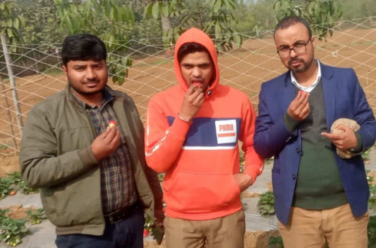 Famous teacher RK Srivastava and engineer-turned-students arrived to see strawberry cultivation