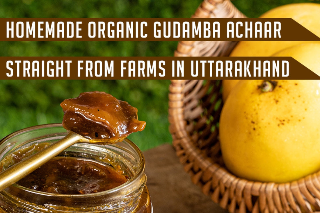 Sweet & Spicy Summer Sides: The Versatility of Dadi Ma ka Aam ka Meetha Achaar (Gudamba)