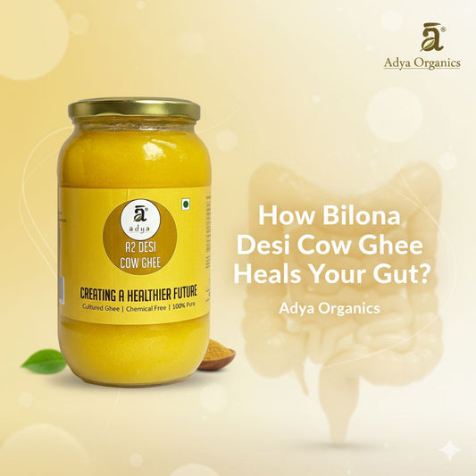How Bilona Desi Cow Ghee Heals Your Gut? - Adya Organics