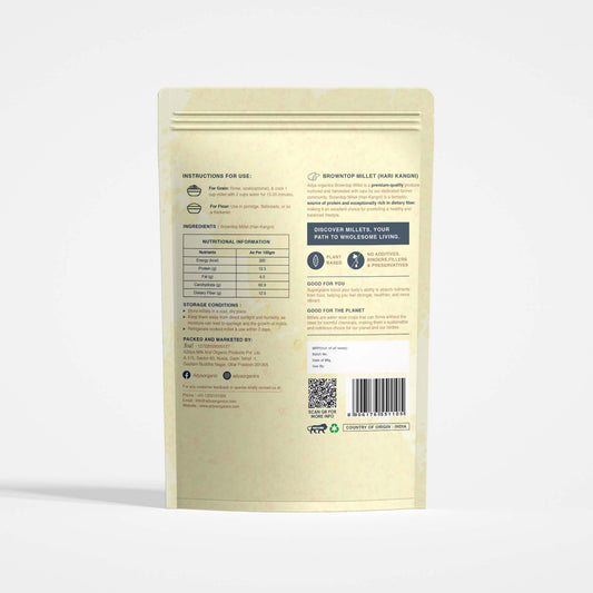 Browntop Millet (Hari Kangni)