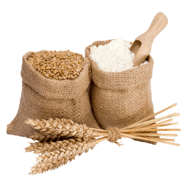 Sharbati wheat flour